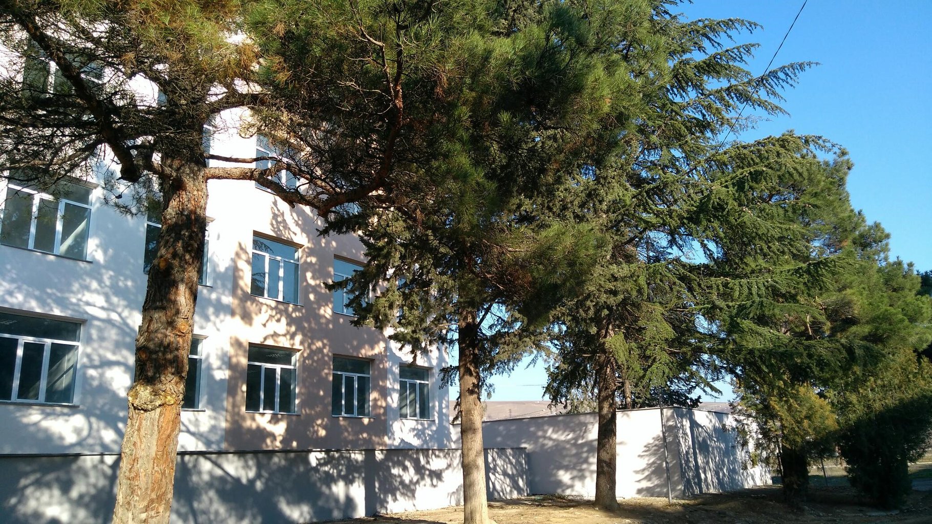 კოლეჯის შენობის სარეაბილიტაციო სამუშაოები დასრულებულია