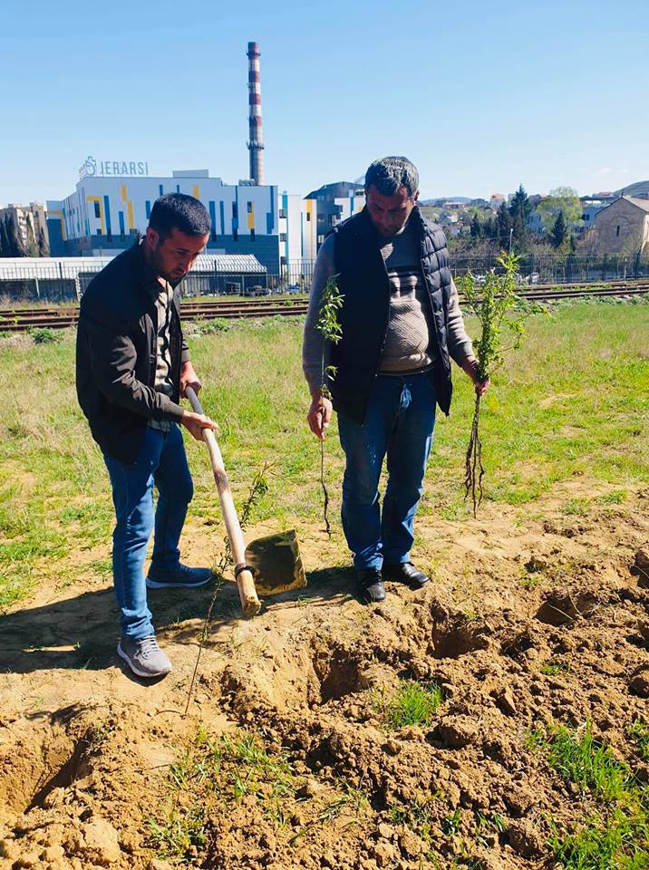 დედამიწის დღე სარკინიგზო ტრანსპორტის კოლეჯში