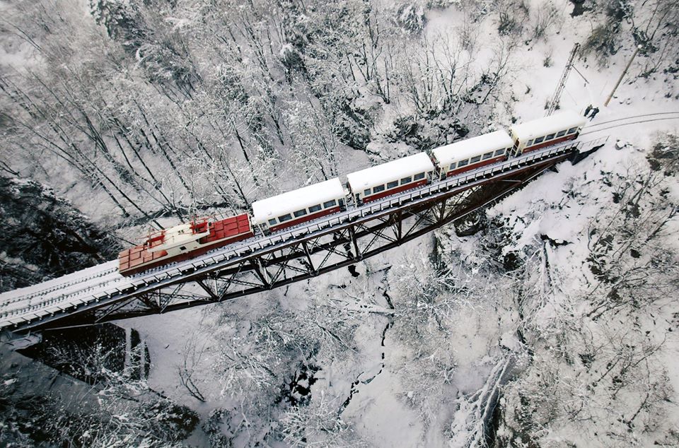 კოლეჯს განათლების,მეცნიერების, კულტურისა და სპორტის მინისტრის მოადგილე ეწვია