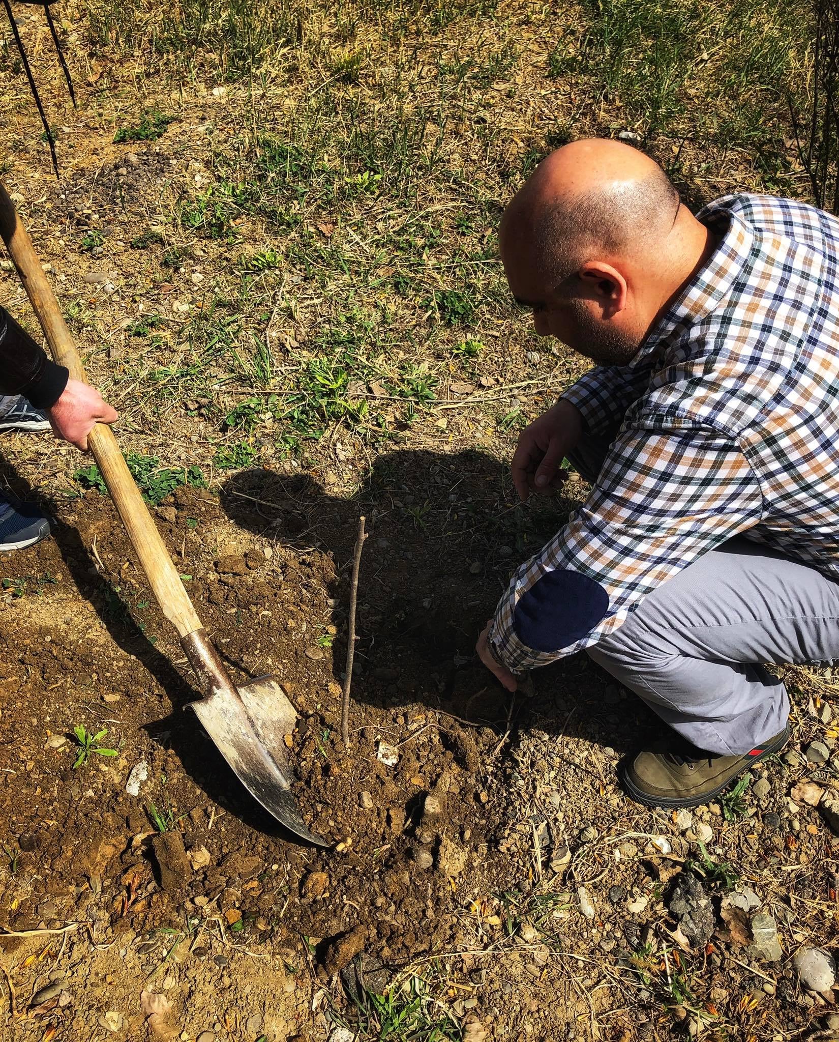 დედამიწის საერთაშორისო დღე