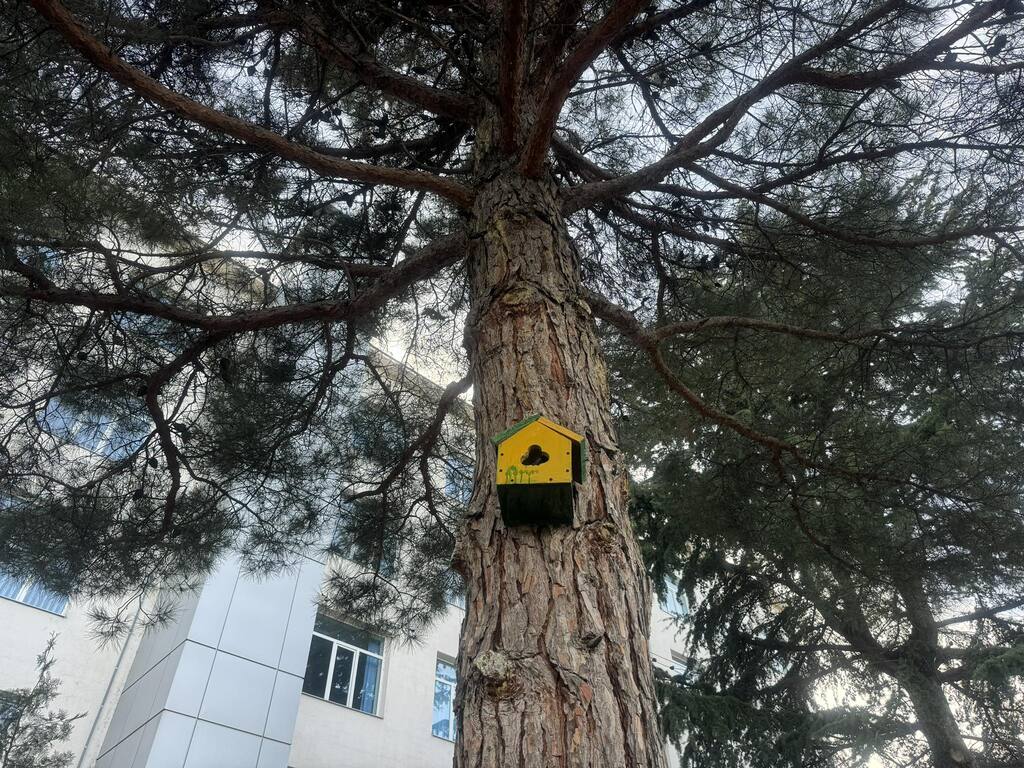 ა(ა)იპ სარკინიგზო ტრანსპორტის კოლეჯში გარემოსდაცვითი საკითხების შესახებ ორდღიანი ვორკშოპი ჩატარდა