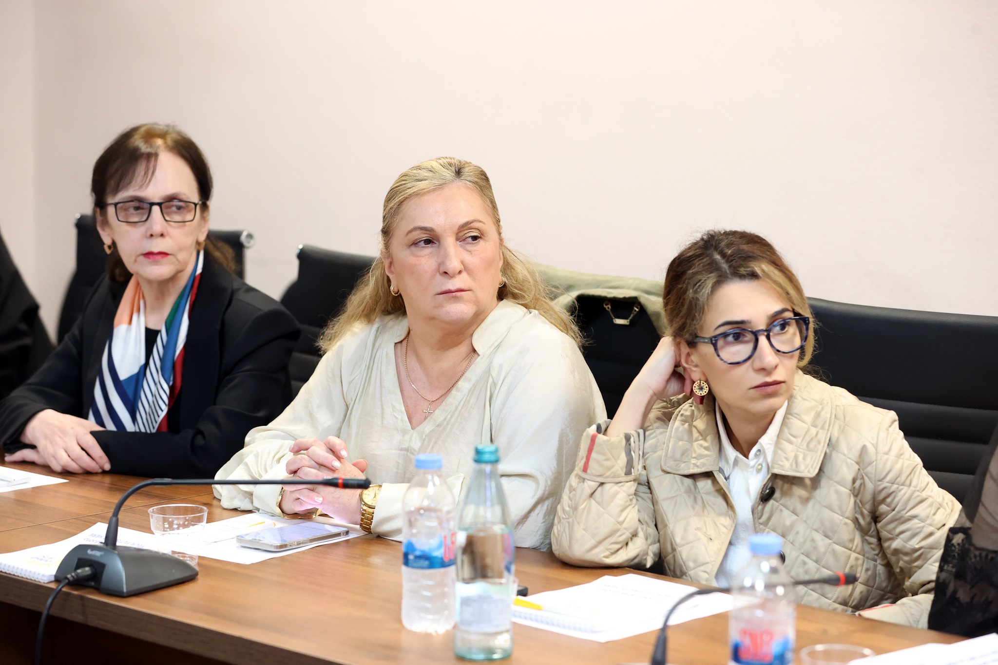 დირექტორთა საბჭოს სხდომა საქართველოს განათლების, მეცნიერებისა და ახალგაზრდობის მინისტრთან