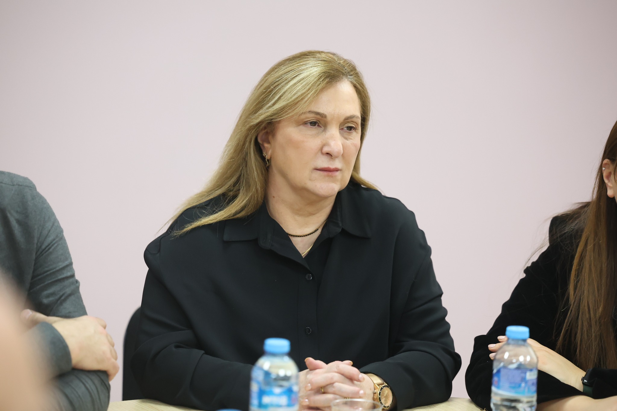 პროფესიული საგანმანათლებლო დაწესებულებების დირექტორთა საბჭოს სხდომა